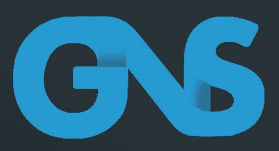 G-Ness Solution Inc.